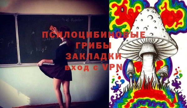 амфетамин Алексеевка